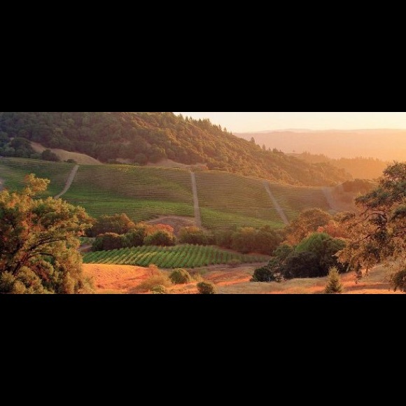 Meet your Posher, Christina - Picture 4 of 7